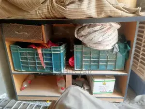 Commercial Counter Rack Display Shelving Unit