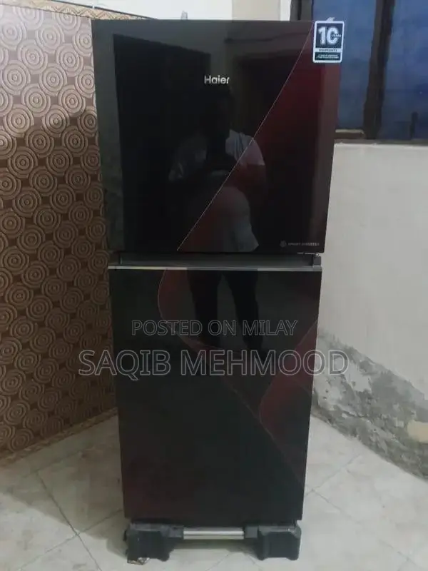 Professional Hair Inverter Device with Extended Warranty