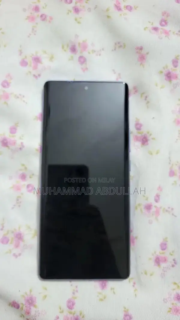 Powerful Smartphone with 8GB RAM and 256GB Storage