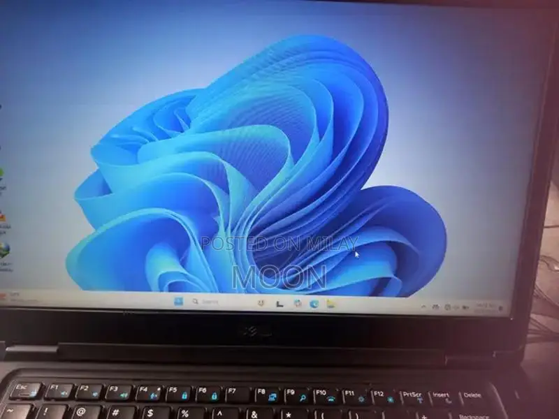 Dell Latitude High Performance Business Laptop