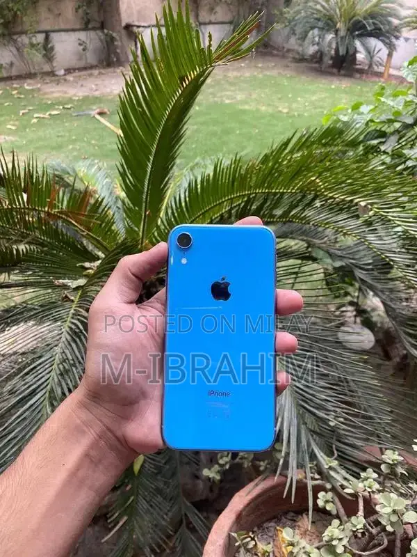 Apple iPhone XR 64GB - Excellent Condition Smartphone