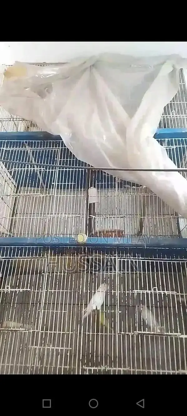 Metal Pet Cage - Suitable for Small Animals