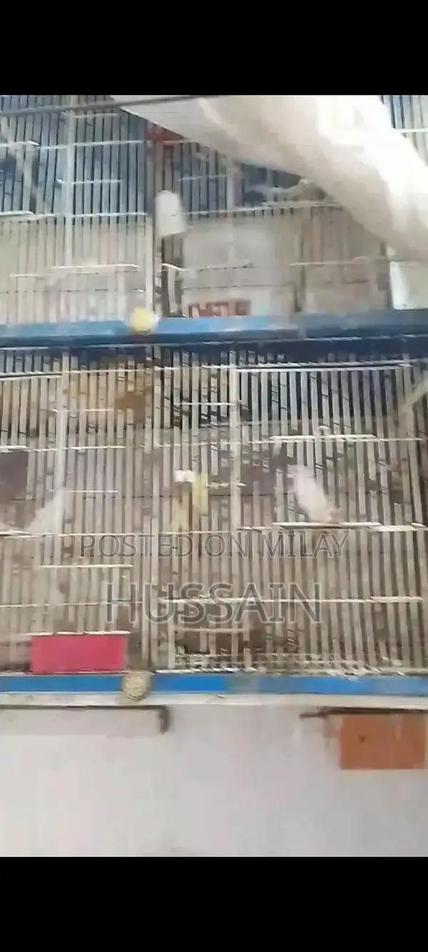 Metal Pet Cage - Suitable for Small Animals