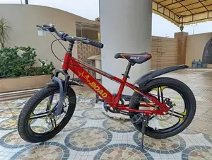 Photo - BMX Bicycle with Unique Design and Performance Features
