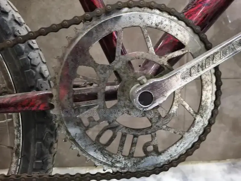 Sohrab Genuine Bicycle in Excellent Condition