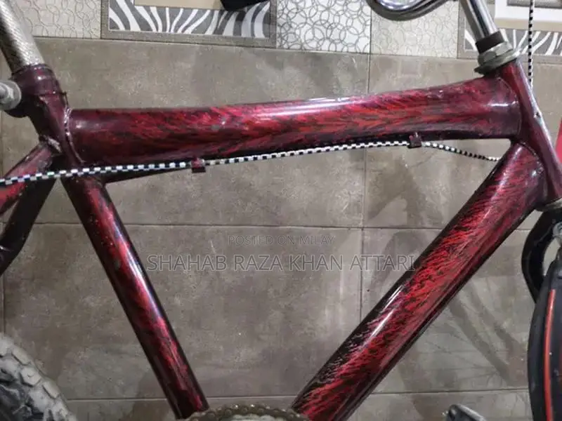 Sohrab Genuine Bicycle in Excellent Condition