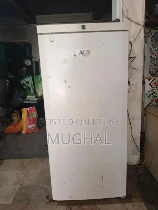 Energy-Efficient Inverter Deep Freezer from Abroad