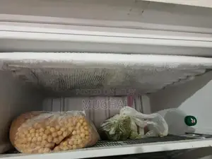 Energy-Efficient Inverter Deep Freezer from Abroad