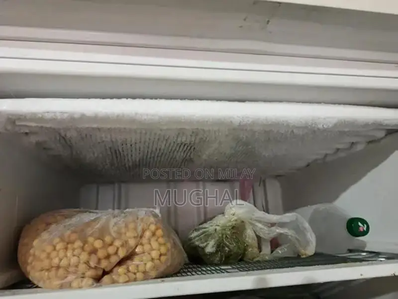 Energy-Efficient Inverter Deep Freezer from Abroad