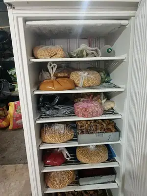 Energy-Efficient Inverter Deep Freezer from Abroad