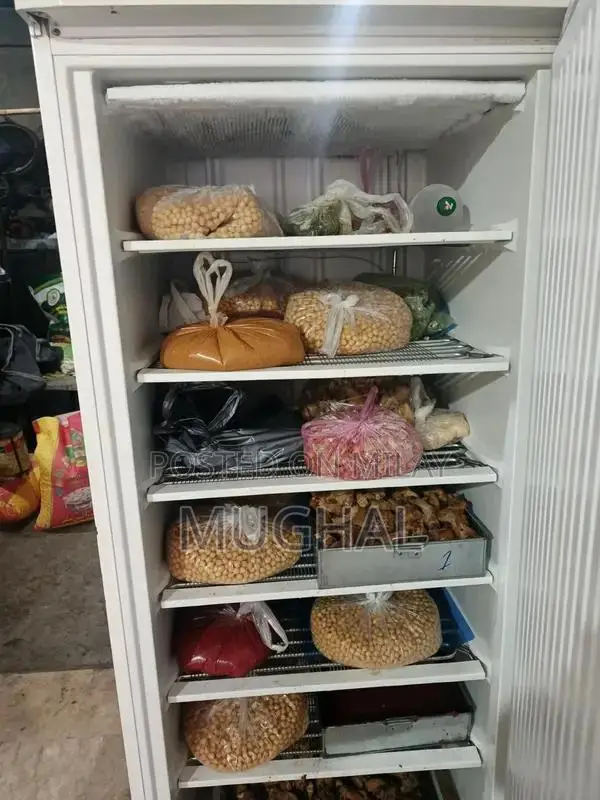 Energy-Efficient Inverter Deep Freezer from Abroad