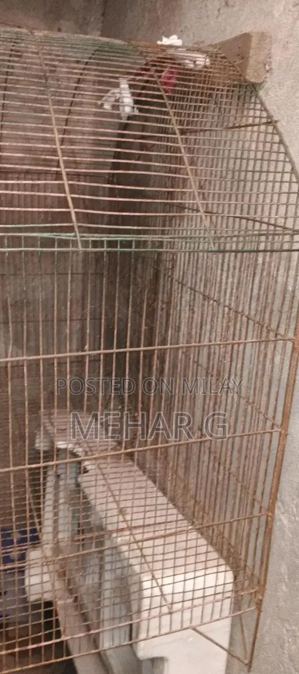 Copper Winding Motor Washing Machine - Parts Available