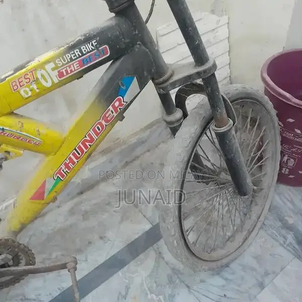 20-Size Children's Bicycle for Young Riders