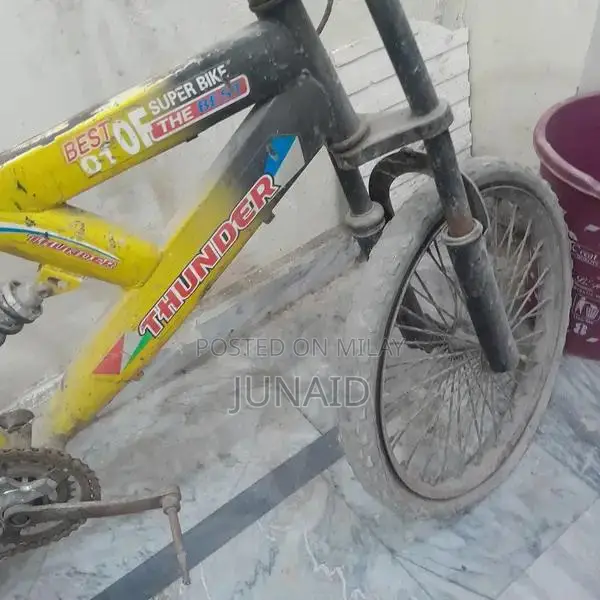 20-Size Children's Bicycle for Young Riders