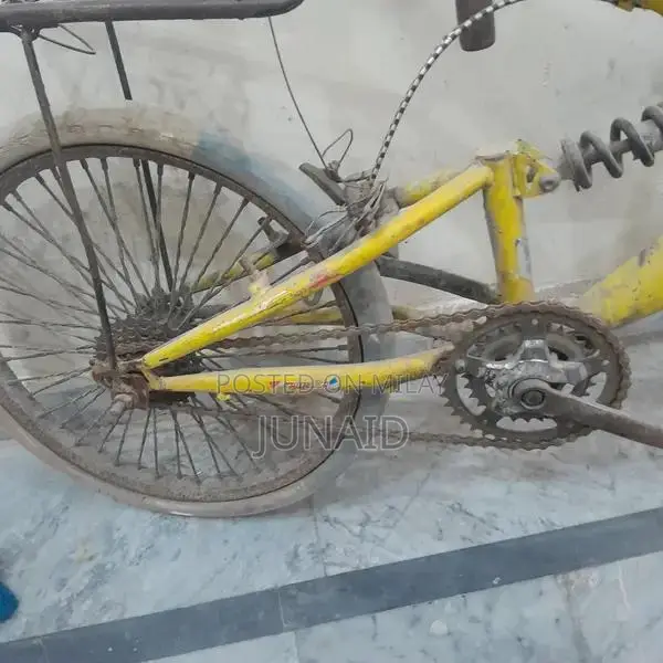 20-Size Children's Bicycle for Young Riders