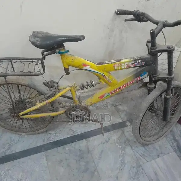 20-Size Children's Bicycle for Young Riders