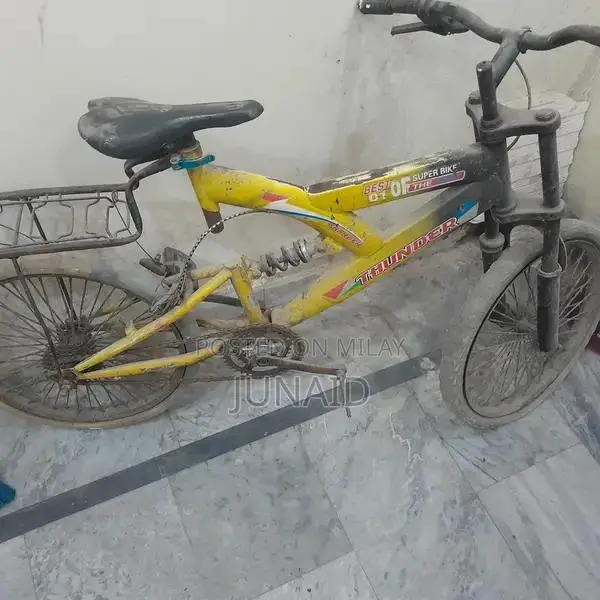 20-Size Children's Bicycle for Young Riders