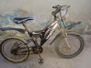 Affordable Bicycle - Great Condition Urban Commuter Bike