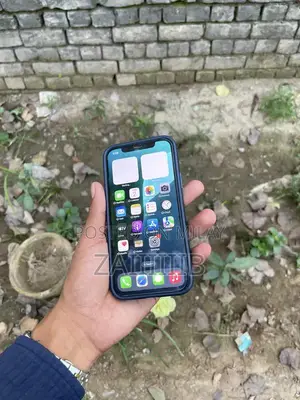 Apple iPhone 12 64GB Non-PTA Smartphone