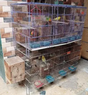 Metal Pet Cage Set with Wooden Boxes