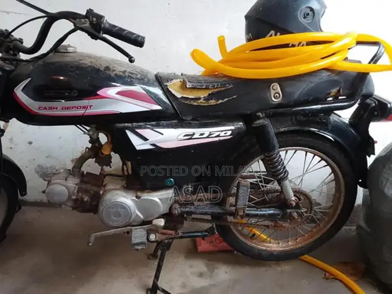 Used Vehicle with Flexible Engine Options