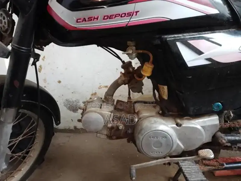 Used Vehicle with Flexible Engine Options