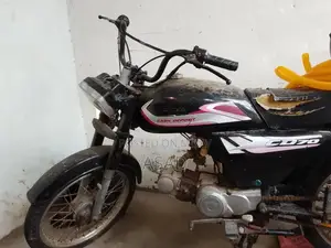 Used Vehicle with Flexible Engine Options