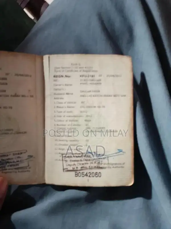 Used Vehicle with Flexible Engine Options