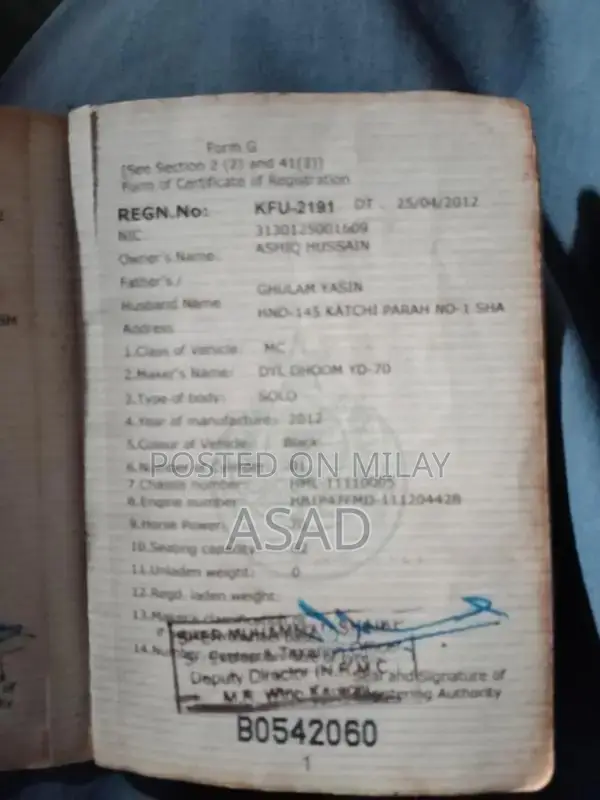 Used Vehicle with Flexible Engine Options