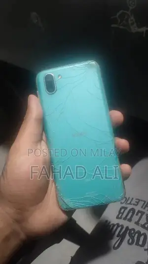 Compact Smartphone with Dual Camera and Sleek Design