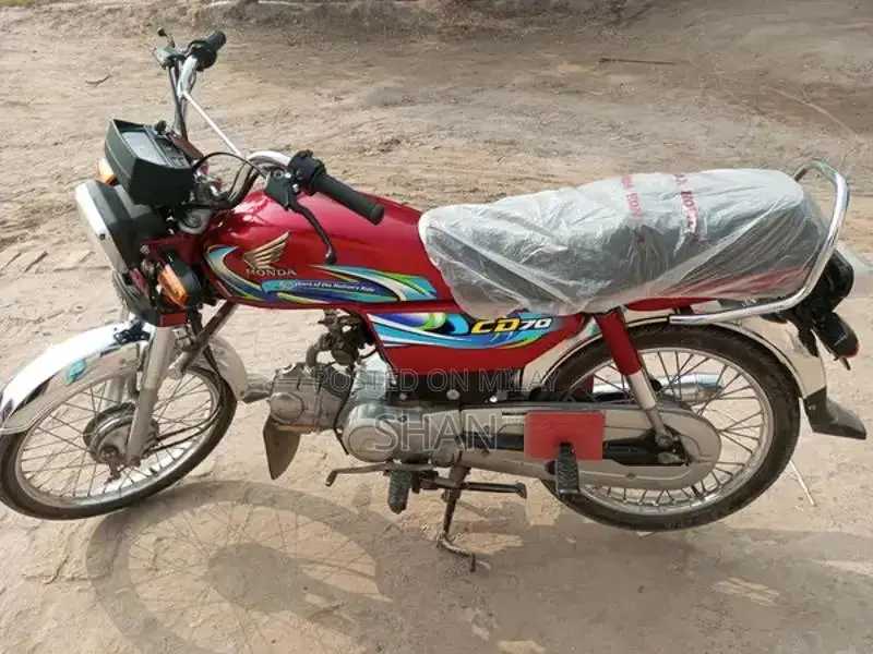 High-Performance Cellular Device with Fresh Design