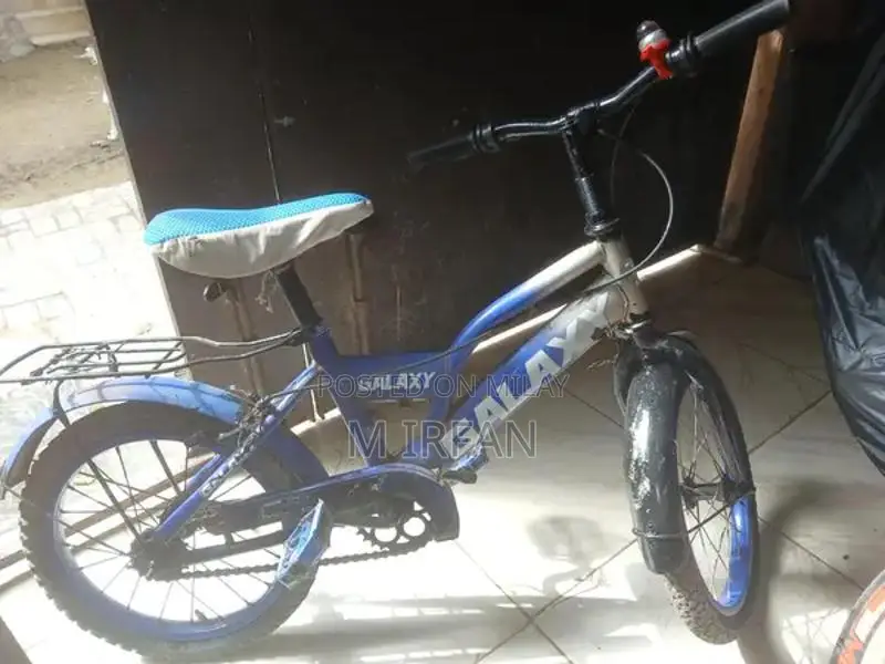 Morgen and Galaxy Bicycle Set for Sale