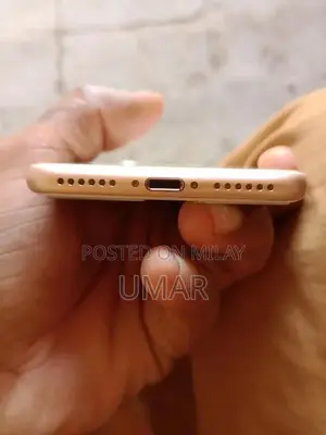 Apple iPhone 8 64GB Smartphone - Fully Functional