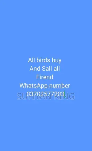 Photo - WhatsApp Communication Device Accessory