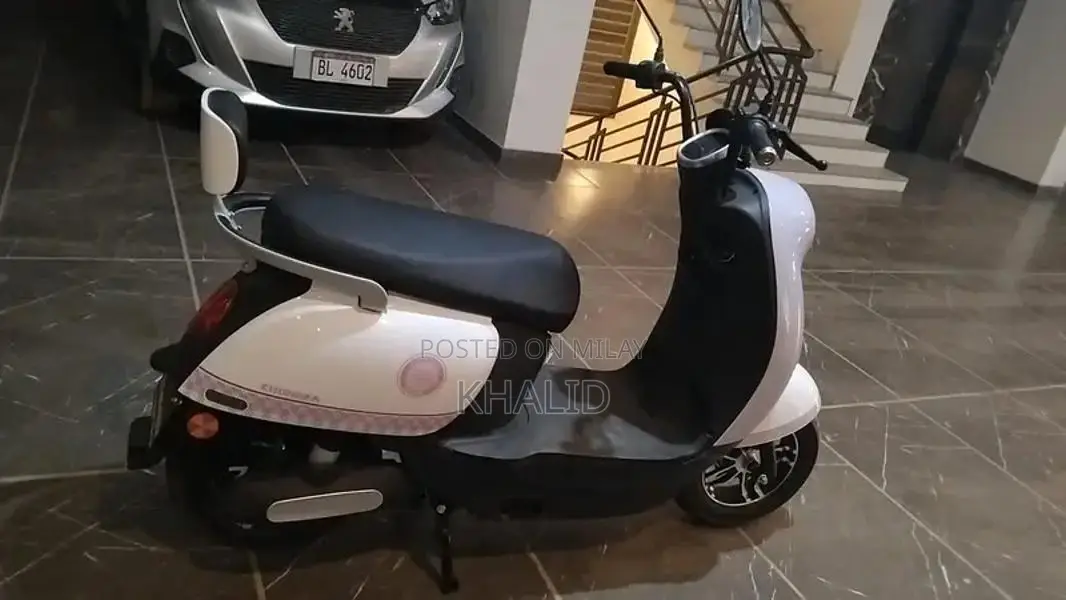 ZF-G1 Electric Motorcycle 1000W Graphene Battery Urban Commuter