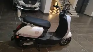 Photo - ZF-G1 Electric Motorcycle 1000W Graphene Battery Urban Commuter