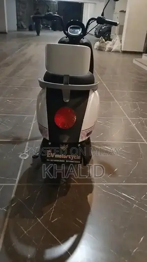 ZF-G1 Electric Motorcycle 1000W Graphene Battery Urban Commuter