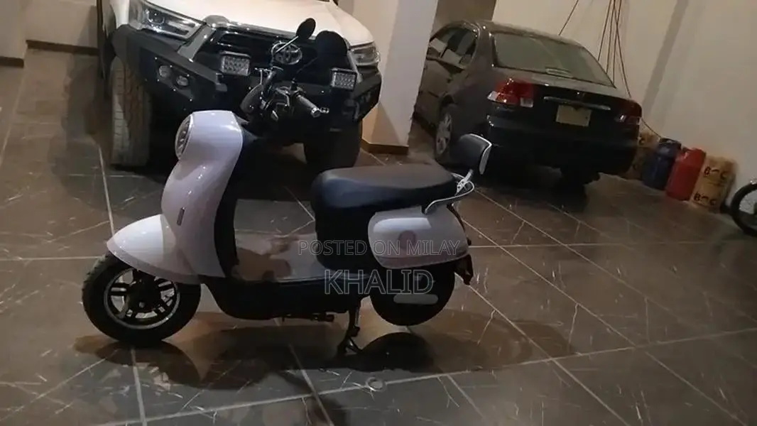 ZF-G1 Electric Motorcycle 1000W Graphene Battery Urban Commuter