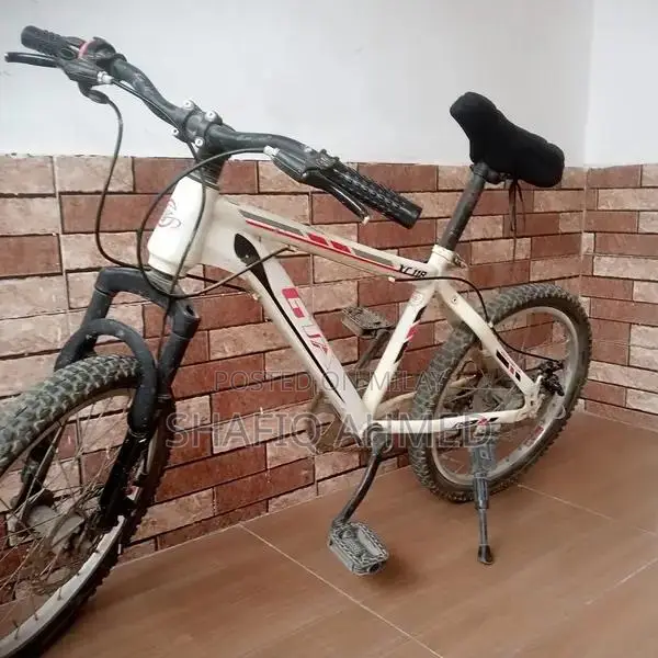 Giant 20 Inch Kids Bicycle with Disc Brakes