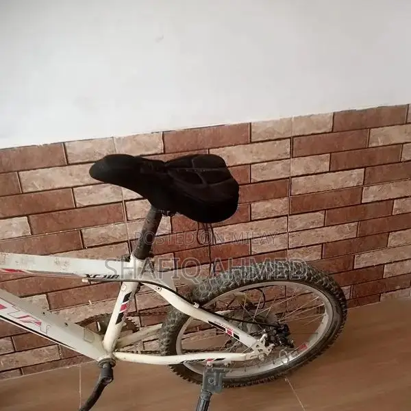 Giant 20 Inch Kids Bicycle with Disc Brakes