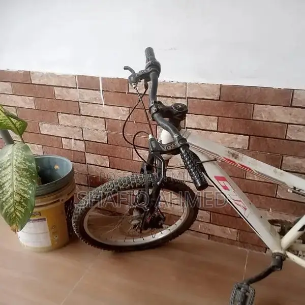 Giant 20 Inch Kids Bicycle with Disc Brakes