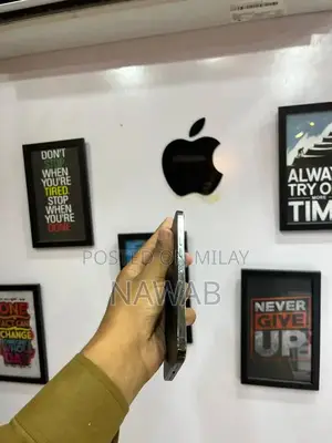 Apple iPhone 12 Pro Max - High Performance Smartphone