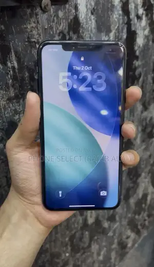 Apple iPhone 11 Pro Max - 64GB JV Smartphone