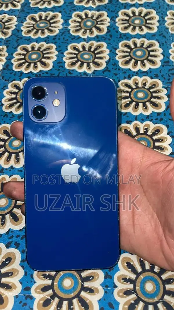 iPhone 12 Smartphone - Unlocked, Panel Replaced, 64GB Storage