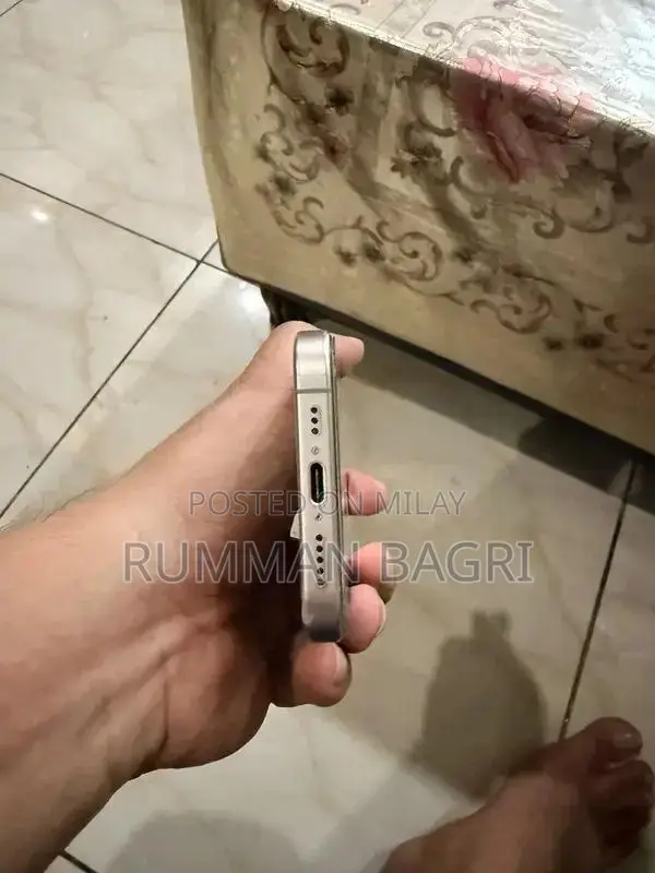 Pro Titanium Smartphone Unlocked 256GB