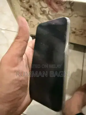 Pro Titanium Smartphone Unlocked 256GB