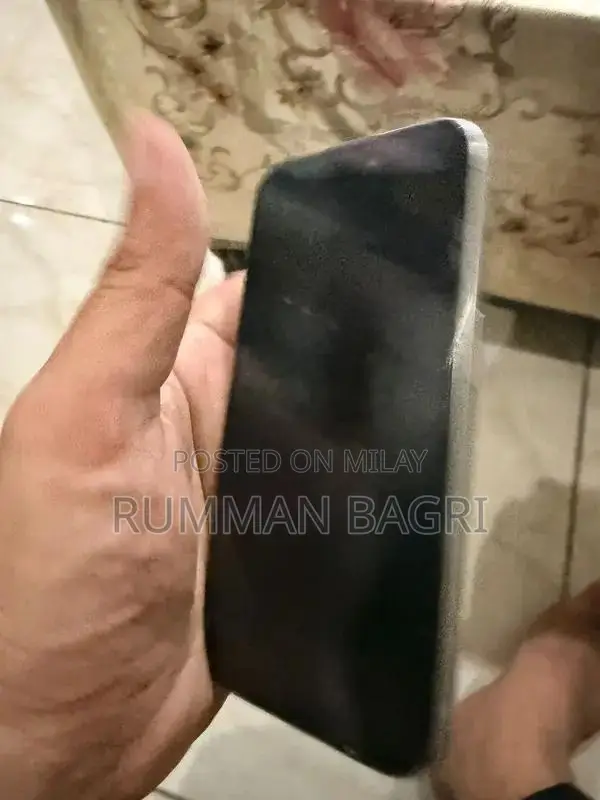 Pro Titanium Smartphone Unlocked 256GB