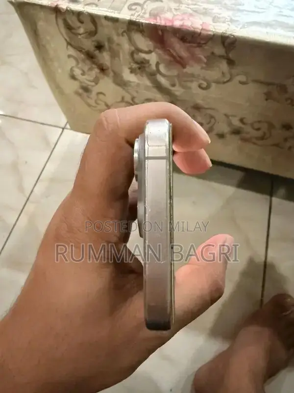 Pro Titanium Smartphone Unlocked 256GB