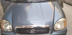 Hyundai Santro Club Compact Family Car 2007 Model