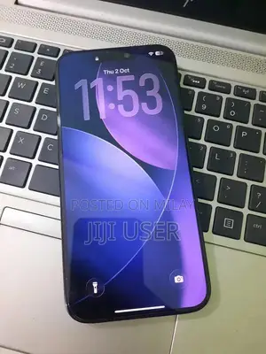 Pro Max Titanium Blue 256GB Unlocked Smartphone